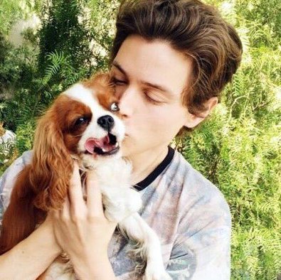 TylerJamesPW's tweet photo. My #TeenChoice nominee for #ChoiceTVBreakoutStar is @ItsTylerYoung as #PhilipShea in #Eyewitness @TeenChoiceFOX https://t.co/sZWsKv5ng3