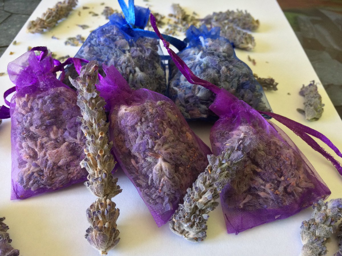 MedicalNetworks's tweet image. goo.gl/6s7EzX
100% Organic Lavender Sachets in blue or purple organza bags ! Includes FREE Shipping! #lavender #sachets #weddings