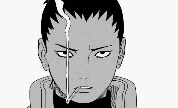 broruto tweet picture