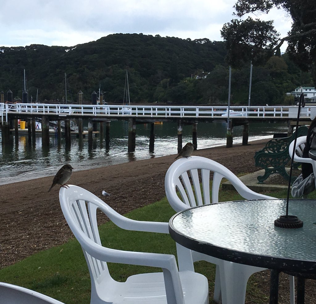 Katherine Ferguson tweet media