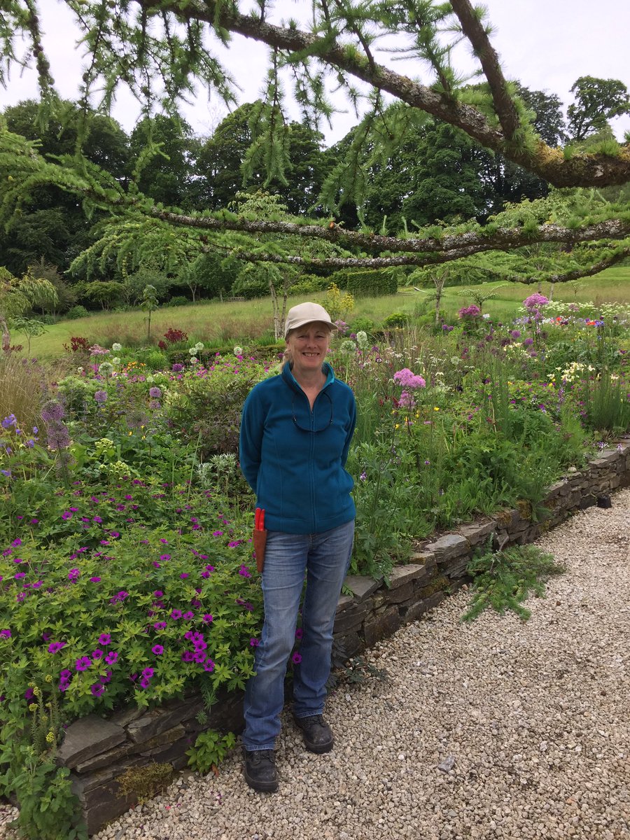 Hort_Rach's tweet photo. @itbdublin placement student Carmel enjoying placement in a stunning Wicklow garden #JuneBlake https://t.co/DwJG5cnc6D