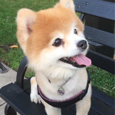 SRosley's tweet photo. #NewProfilePic https://t.co/B2nxTSRpM9