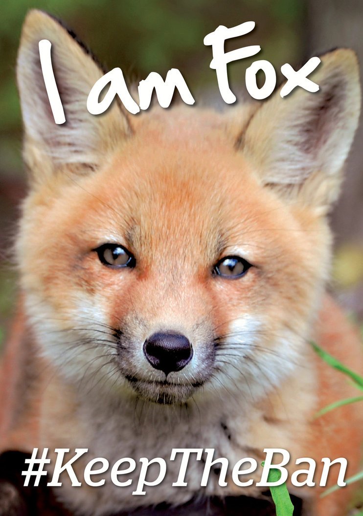 DrBrockway's tweet photo. Sorry - I just cannot vote for any party that intends to allow this cruelty
#iamfox #foxban #keeptheban https://t.co/xiqHVtVNEr