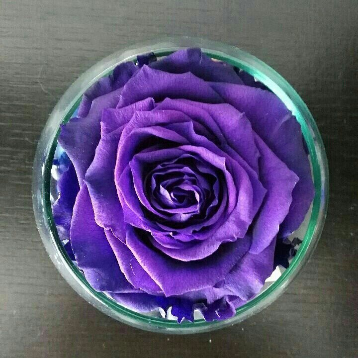 Imflowerscol's tweet photo. https://t.co/JkVYx9RaiW https://t.co/ZRxtTrSlG7