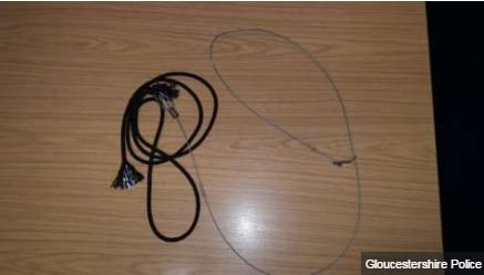 BBCGlos's tweet photo. 🐶 Dog walkers in the Forest are urged to be on the look-out for illegal snares after one hound got its head caught.

https://t.co/uHqyicndhJ https://t.co/yZ29xIWt69