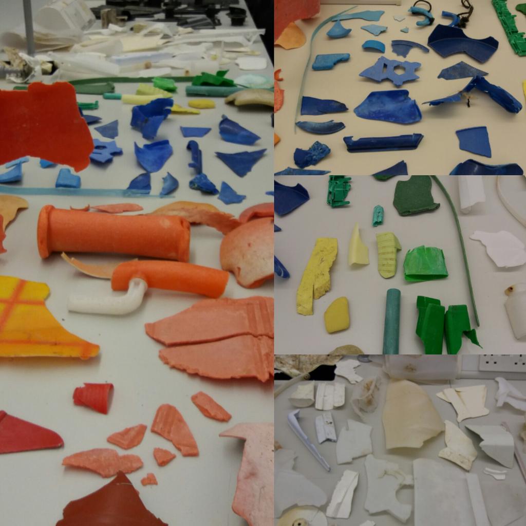 AnaRMMendes83's tweet photo. Beach litter separation #notscience  #overwelm #litter #naturecolours @jpioceans #PLASTOX https://t.co/1HZcC4sxcc
