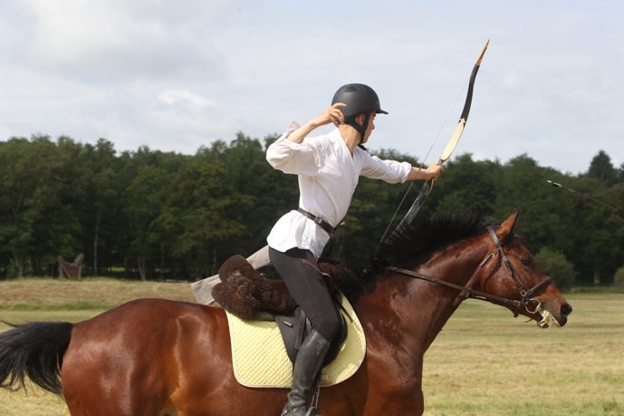 Fédération Française d'Équitation tweet media