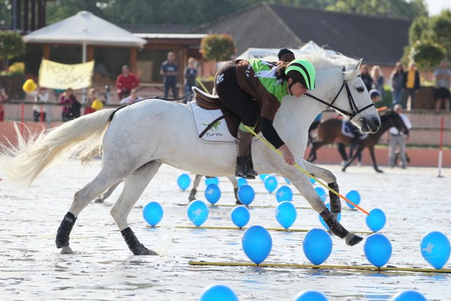 Fédération Française d'Équitation tweet media