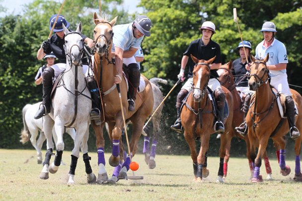 Fédération Française d'Équitation tweet media