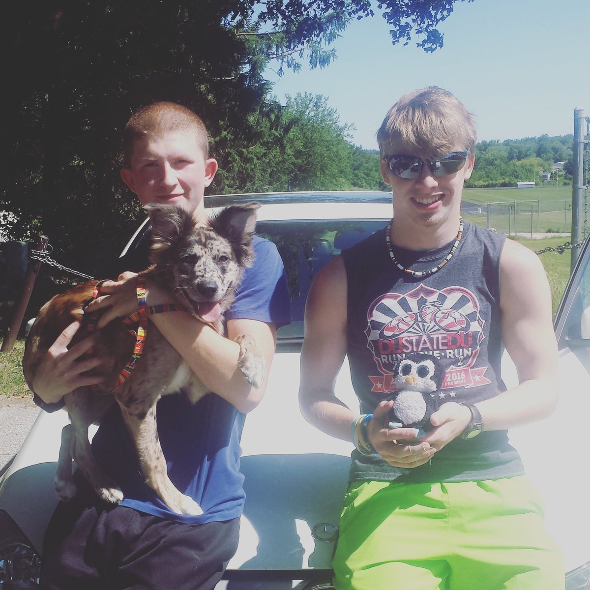 Profe Waddles tweet media