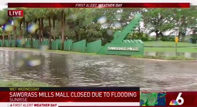 Florida mall shaped like an alligator closed due to flooding because  Florida, Billy Corben