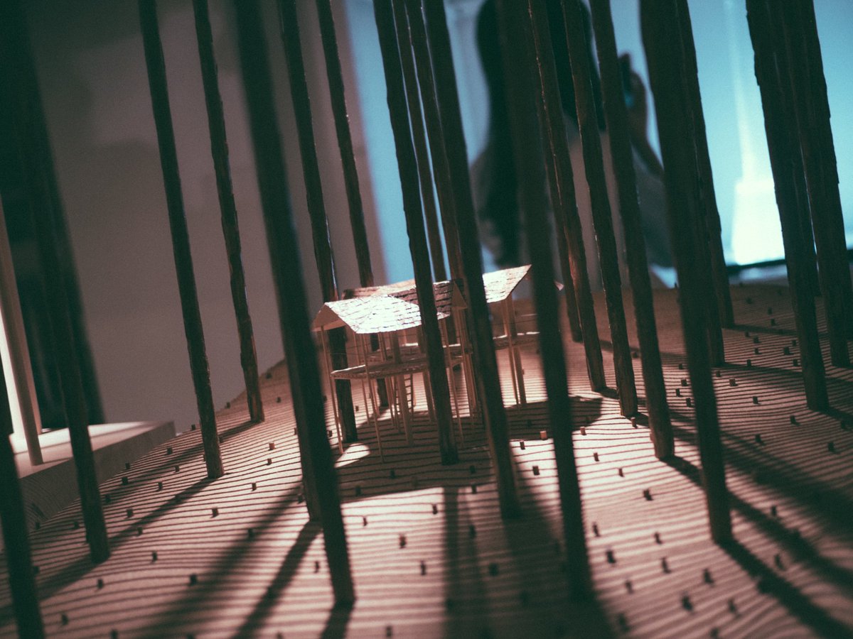 hugoryophoto's tweet image. #Polaroid669