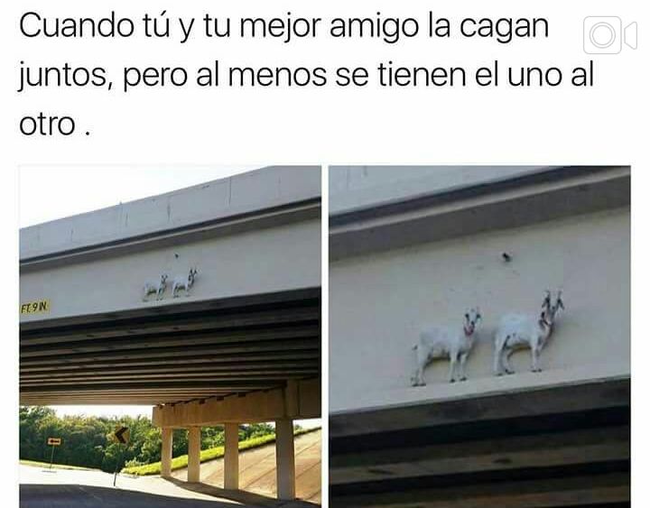 Ivan_Granizo's tweet photo. Ya una vez trepados recien a ver en que nos metimos jajajaj #vostieneslaculpaquemesecundas https://t.co/wcz2ukpiJw