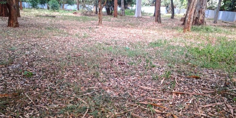 afrihome's tweet photo. Stunning Prime Land For Sale In Ridgeways next to Ridgeways Baptist church and has a ready title deed
PRICE kshs. 200M

CALL +254706801784 https://t.co/i0Icr2zBzX