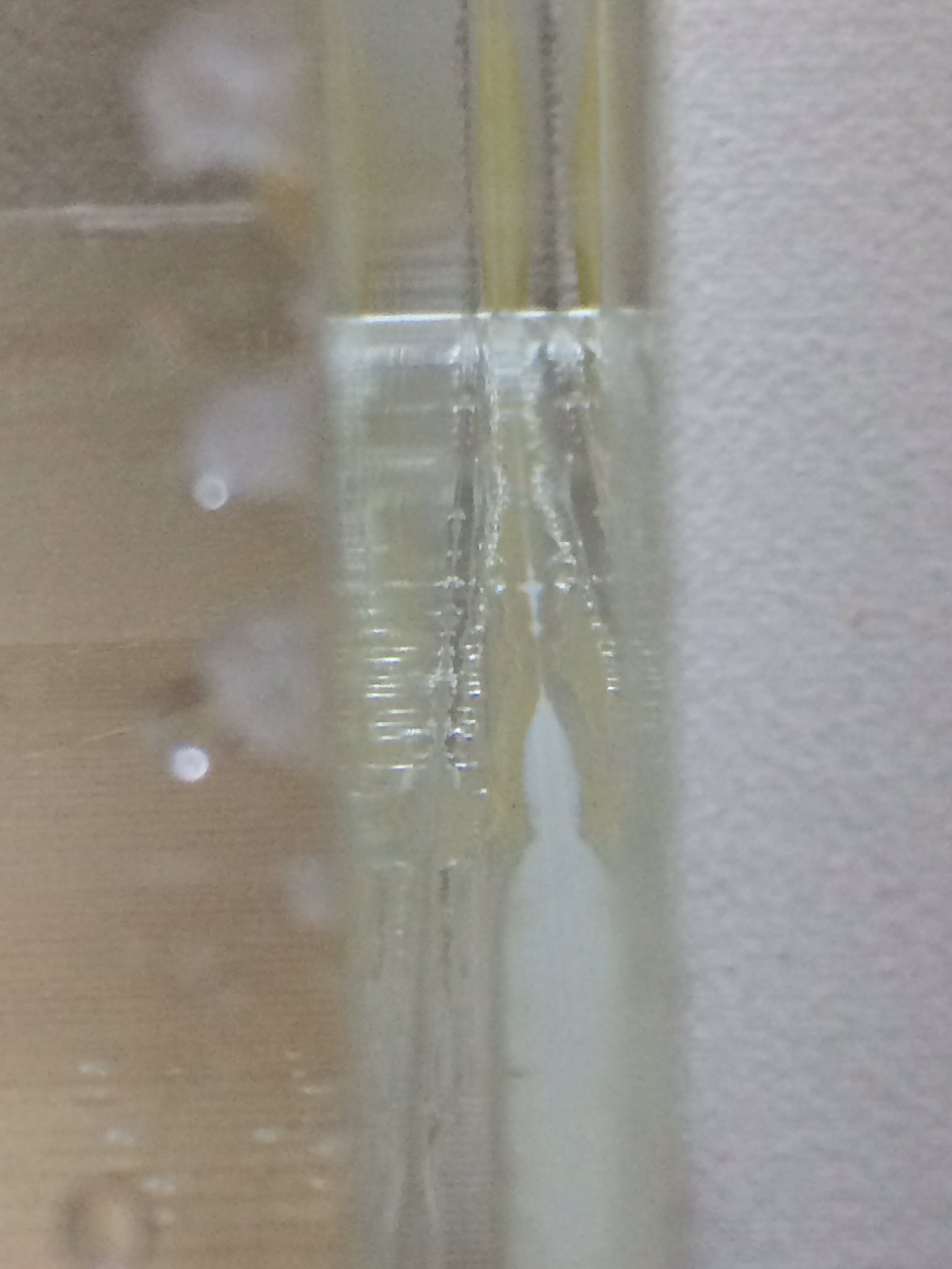 自作180cmアクリル水槽 Twitter