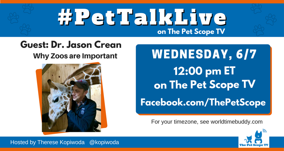 ThePetScopeTV's tweet photo. Why Zoos are Important, w Dr. Jason Crean, 11 CST / noon ET today on FB Live https://t.co/RemFcJODbh @kopiwoda #zoo #wildlifeconservation https://t.co/oYv4qz0agf