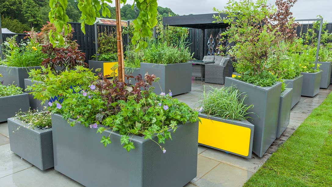 LuberaUK's tweet photo. Read more about the #Silver #Medal winning #MoveableFeastGarden below on the @The_RHS link .....
https://t.co/VfnQ2OBXBH … https://t.co/Hf4f7u8bx1