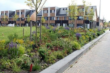 Onkruidvrije en onderhoudsvrije plantconcepten? Kom luisteren naar Laurens Lageschaar op 14 juni in Leudal. delphy.nl/event/demodag-…