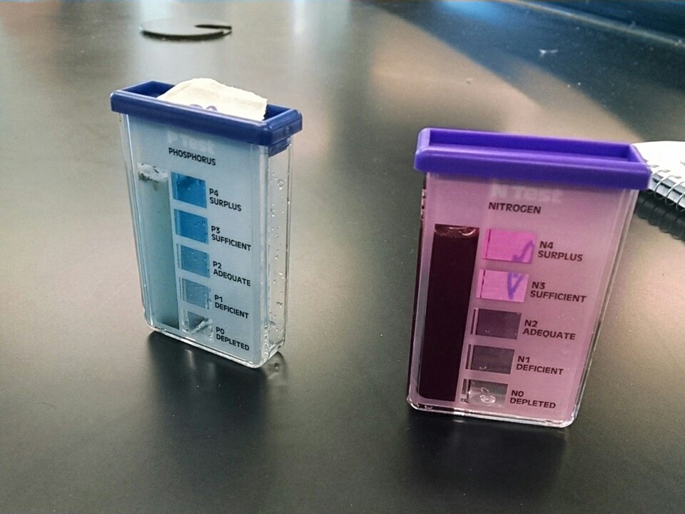 Mythbadger's tweet photo. Today, we learn about measuring soil to if it is conducive for plant growth. #SJSDSummer #PLTW #Botany https://t.co/io5zf7bmPJ