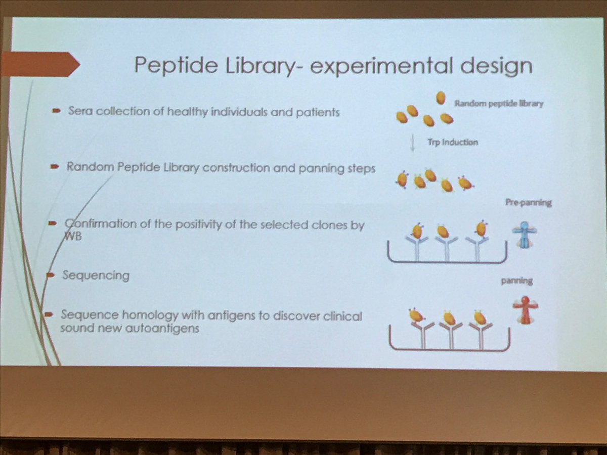 #PBVAB17 Avesani: Exploring plant viruses to display immunodominant peptides in ELISA tests as problems with peptides alone
