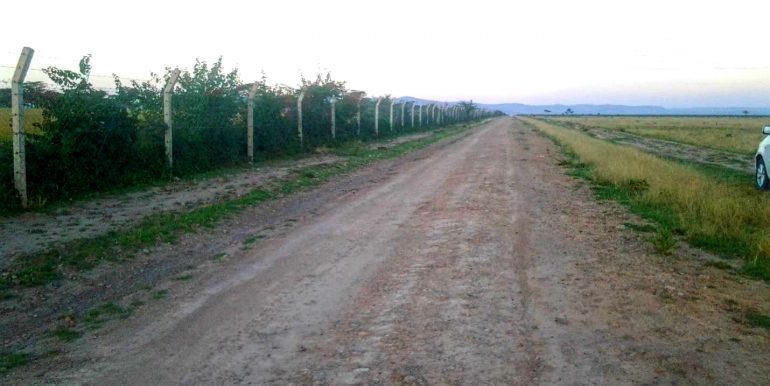 afrihome's tweet photo. Remarkable 68 Acres Prime Land For Sale In Nanyuki  measuring 38 &amp; 30 acres adjacent to each other

KSHS 800,000 per acre
CALL +254706801784 https://t.co/hsnD3EOR2k