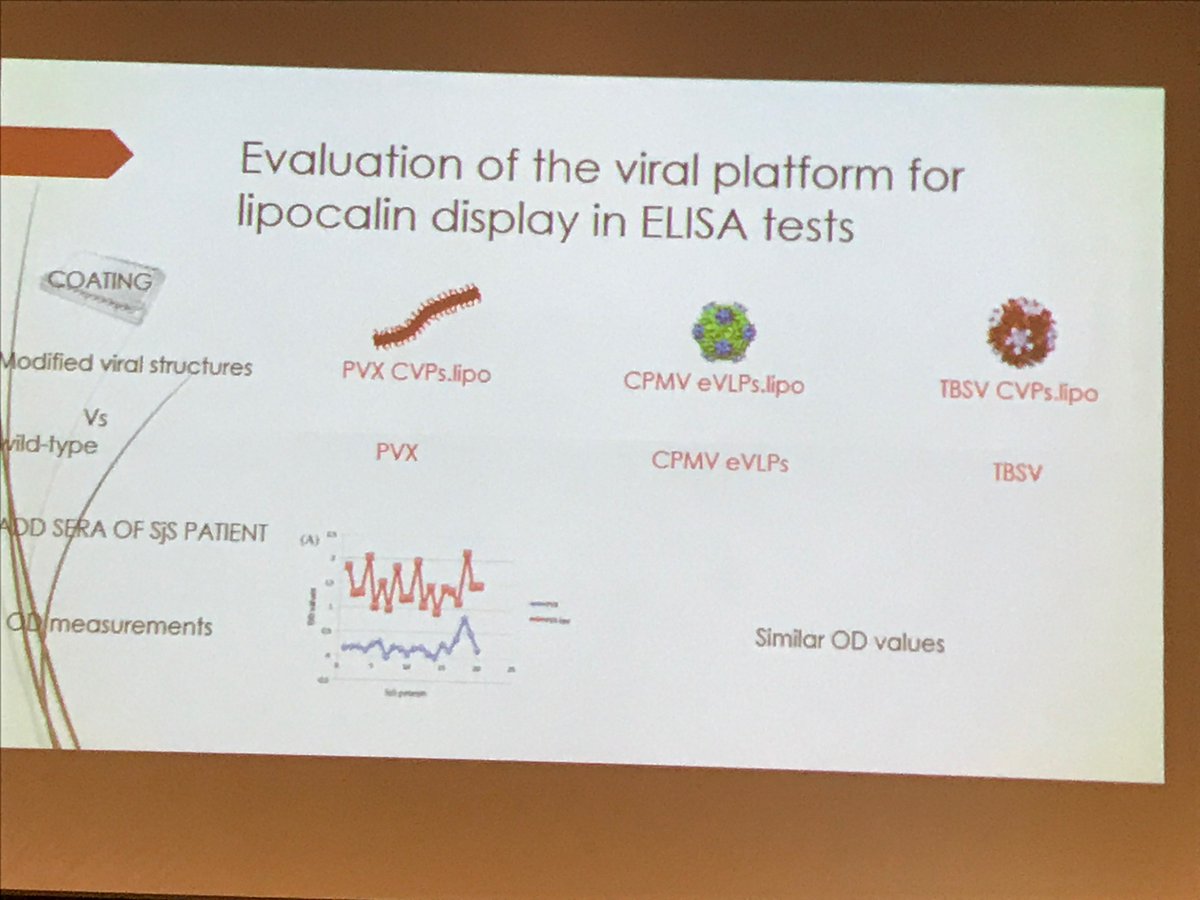 #PBVAB17 Avesani: assessed panel of plant viruses to display lipocalin peptide as diagnostic for Sjogren syndrome