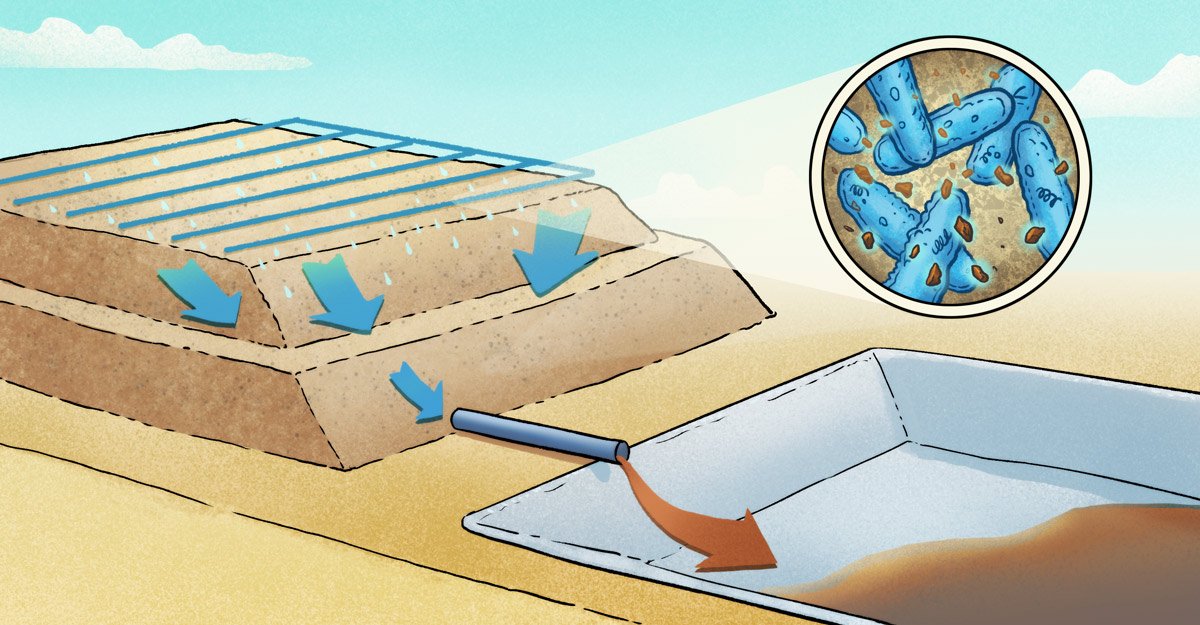 CodelcoLab's tweet image. Chilenos usan bacterias para extraer cobre (y de paso protegen al medioambiente)
codelcolab.com/esp/noticia/36…