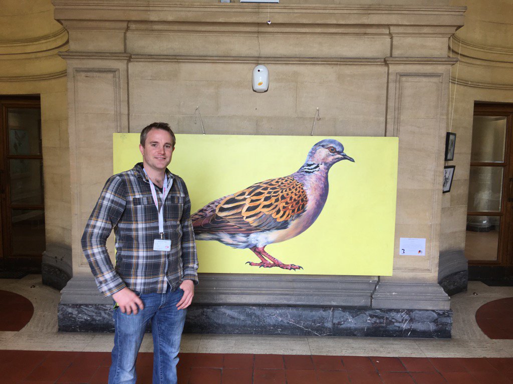 MarvinJRees's tweet photo. @Rewild_Life display in @BristolCouncil vestibules, City Hall. Focus on Turtle Dove, a threatened species. Visit! MR https://t.co/DEe5BoRQ1x