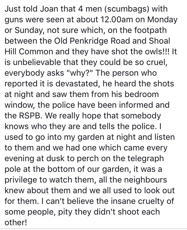 We've heard of a #wildlifecrime (owls being shot)😡 in #Cannock #Staffordshire. Any info? Call Police. Full story: facebook.com/wmhoglethero/p…