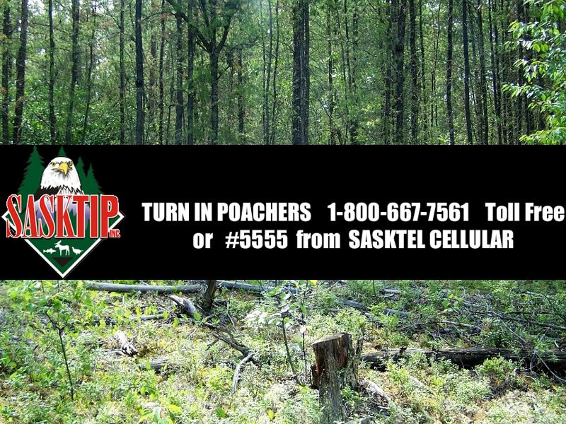 Three Men Fined After Poaching Investigation dlvr.it/PKVsS0 https://t.co/hHfOgKV4lT