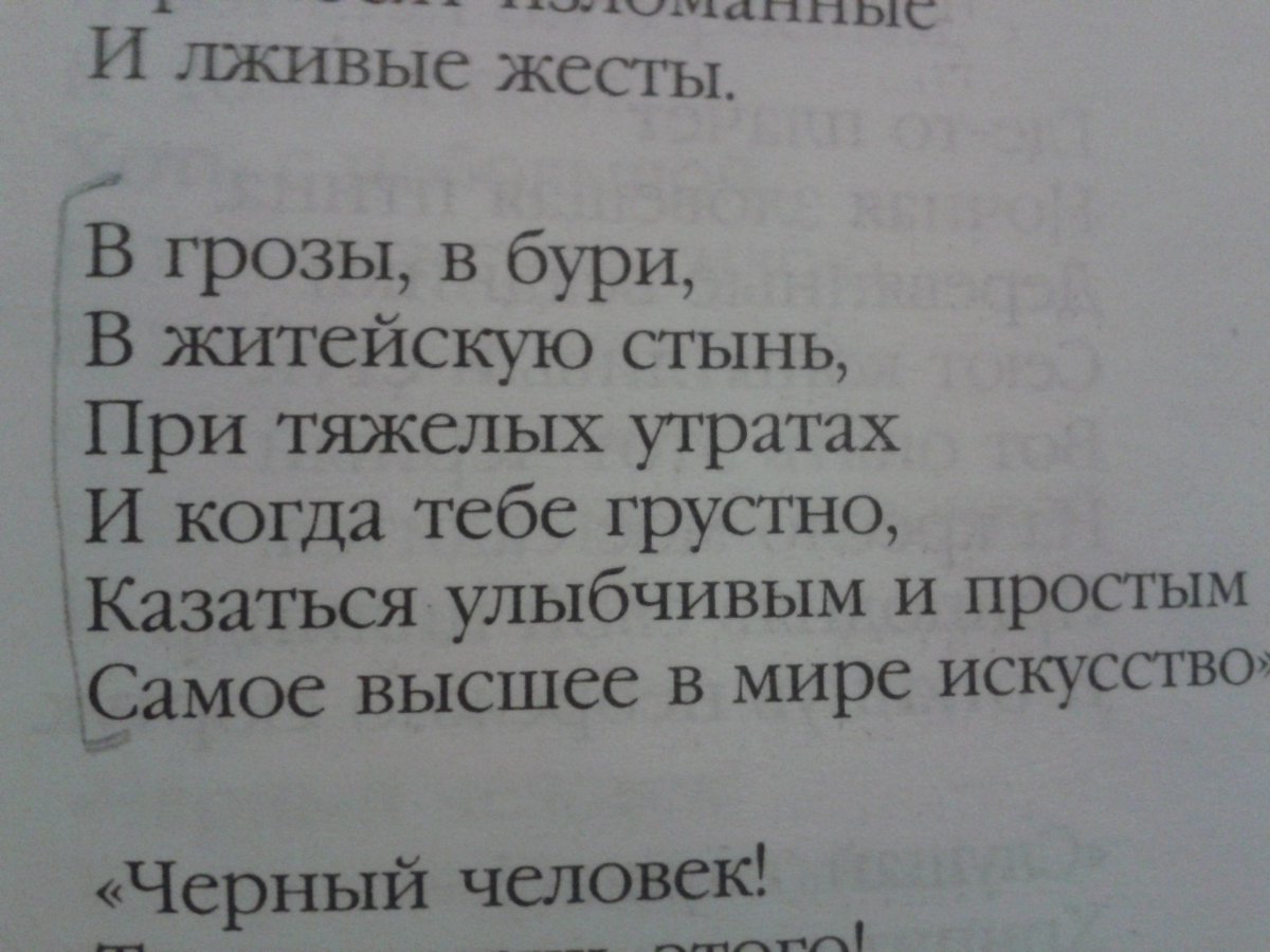 Литература (@literabook) on Twitter photo 