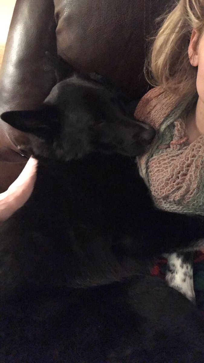 Brig_Billington's tweet photo. Patiently waiting for today to be over so I can finally be reunited with my one and only https://t.co/Bxm424boyf