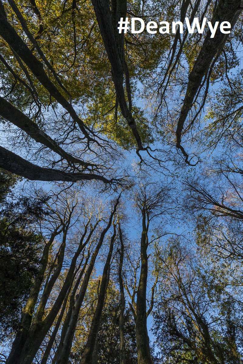 VisitDeanWye's tweet photo. Have you seen our Myths and Legends video?
 https://t.co/UpgG1U8aYQ   #DeanWye #DeanWyeLegends @visitwales #WyeValley #ForestofDean https://t.co/AjYhREe1dC