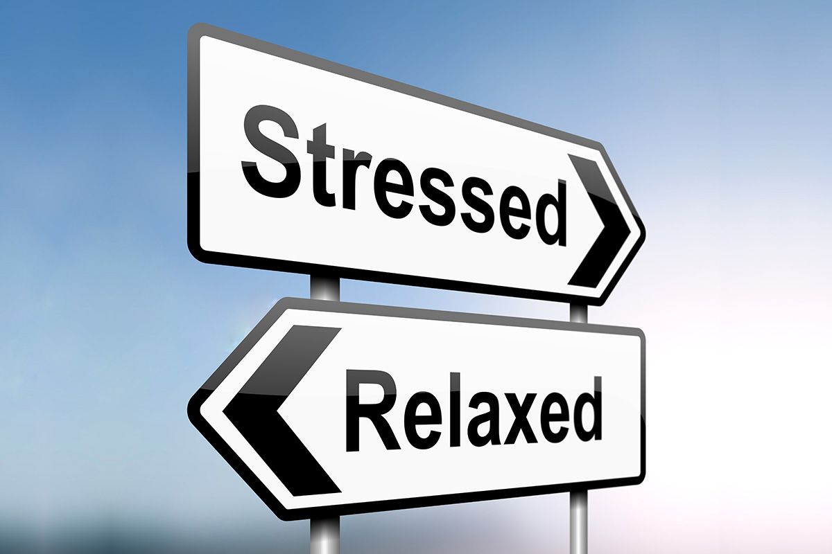 IssuesExam's tweet photo. We all know which way exams are taking us! https://t.co/5Ew9T7cHdn