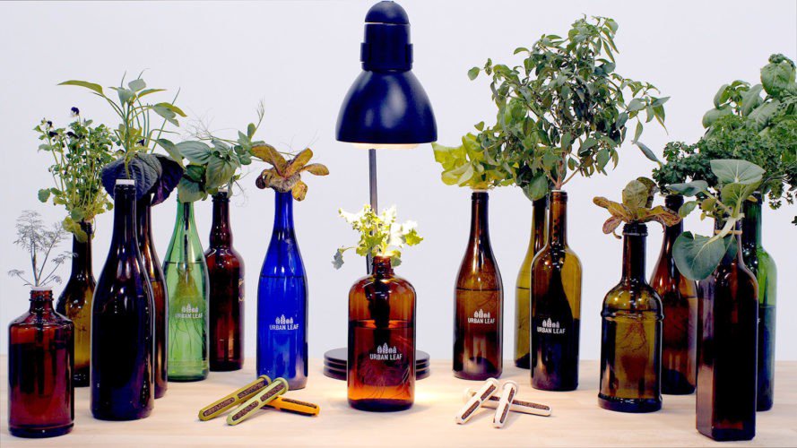 inhabitat's tweet photo. World’s Smallest Garden lets you #recycle old bottles into adorable #hydroponic gardens

https://t.co/lxDckt0qzx https://t.co/M0R2fZSGOe