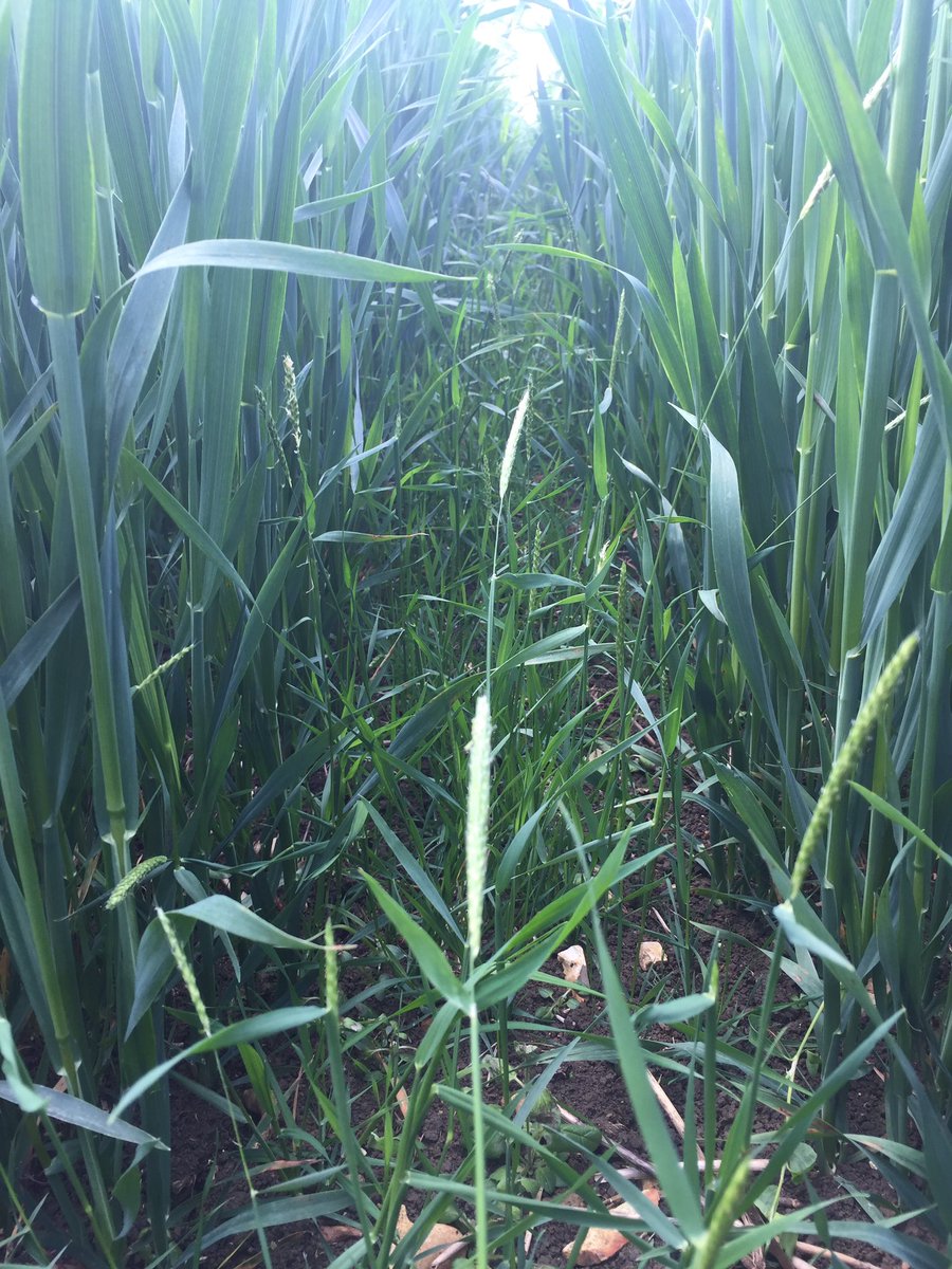 Ryan Hudson tweet media