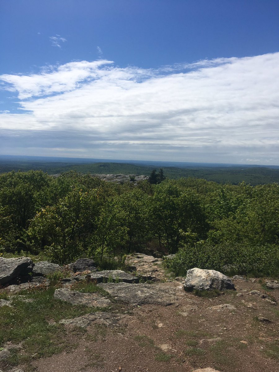 K8Saari's tweet photo. 1st time to visit Yellow 🔼since 21.  Looked like a 🌪had gone through.  Some day I will be a good trail citizen and clean up broken🌳🌲#Wapack https://t.co/E9oskfVZrF