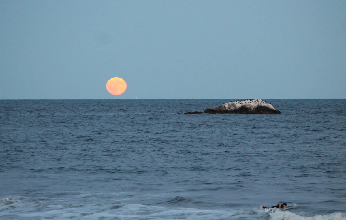 Save the Date! Join us Friday, Aug. 25 for an evening of fun, all to support our food pantry &amp; visitor programs bit.ly/2r2jdYc