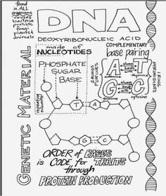 coachjaws33's tweet photo. #sketchnotes love it! Thanks Meredith #sulsprisd #SLCGameOn https://t.co/2uzwk2qU39