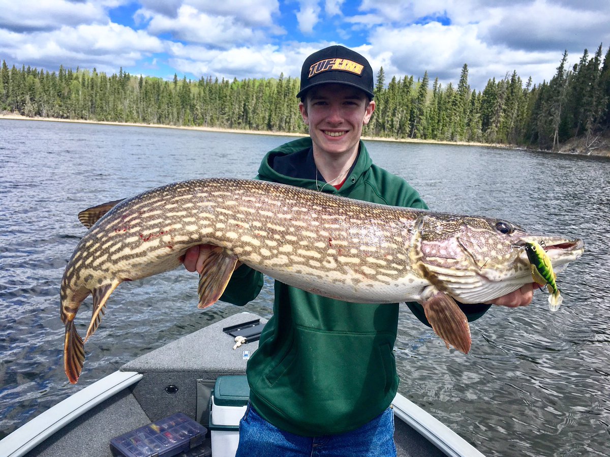 TUFLineOfficial's tweet photo. Another monster hauled in on TUF-LINE by @canadian__outdoors 
#whenabigbiteisontheline 
#tufline 
.
.
#pike #musky https://t.co/31iPlMfrdi