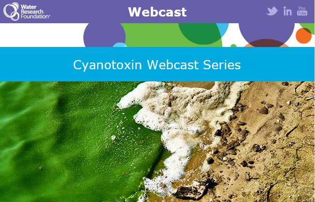 The Water Research Foundation (WRF) 💧 (@waterresearch) on Twitter photo Just in time for summer! #Cyanotoxin Webcast Series. Speakers from <a href="/coronaenv/">Corona Environmental</a> <a href="/neorsd/">NE Ohio Regional Sewer District</a> <a href="/waynestate/">Wayne State University</a> <a href="/americanwater/">.</a> bit.ly/2qWIFuf Just in time for summer! #Cyanotoxin Webcast Series. Speakers from <a href="/coronaenv/">Corona Environmental</a> <a href="/neorsd/">NE Ohio Regional Sewer District</a> <a href="/waynestate/">Wayne State University</a> <a href="/americanwater/">.</a> bit.ly/2qWIFuf