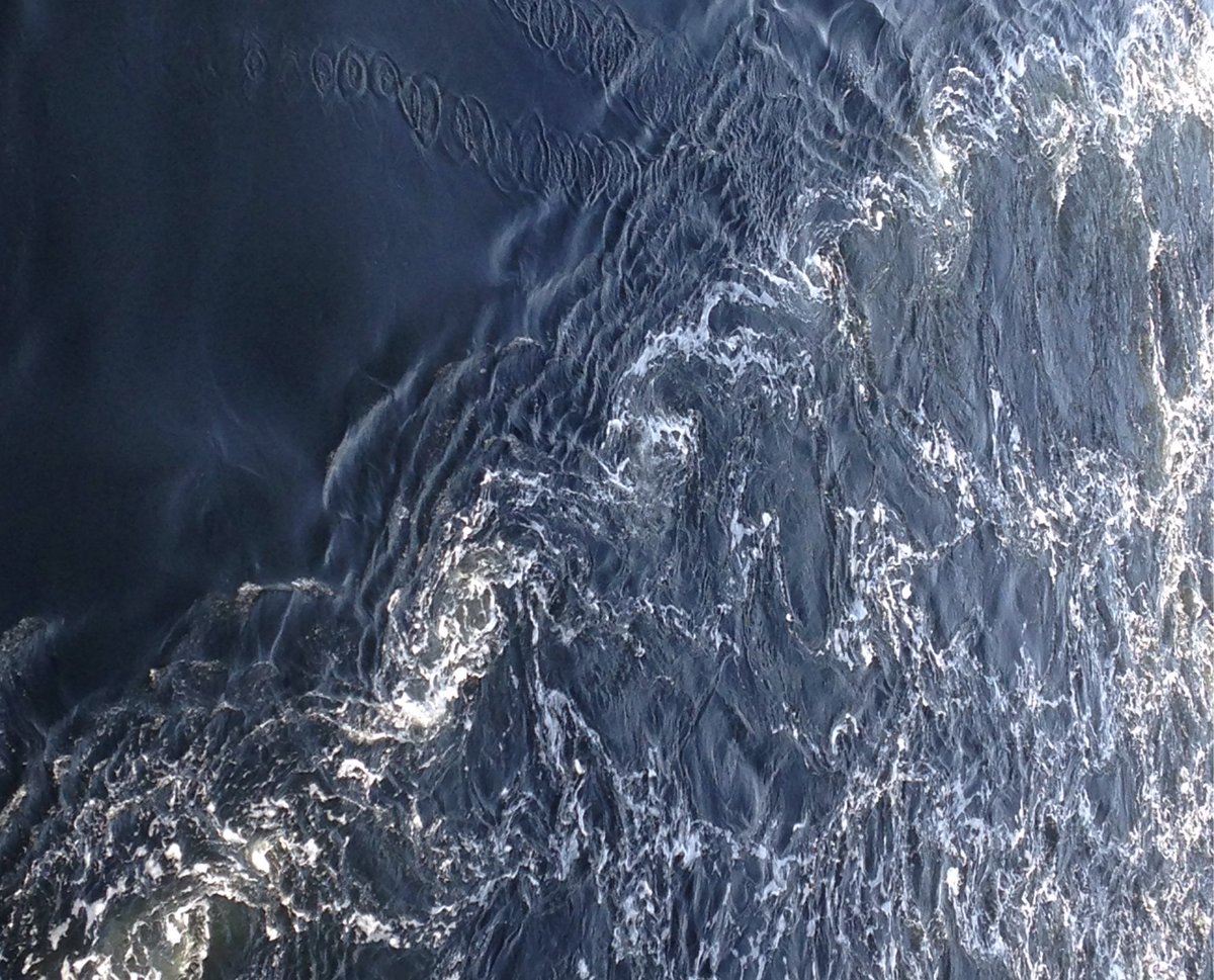 bwilson999's tweet photo. Come join us. PhD opportunity: Determining the Ecology and Physics of Tidal-Stream Habitats (DEPTH) https://t.co/g6Xv3RUhE3 https://t.co/SGj7EUFkJb