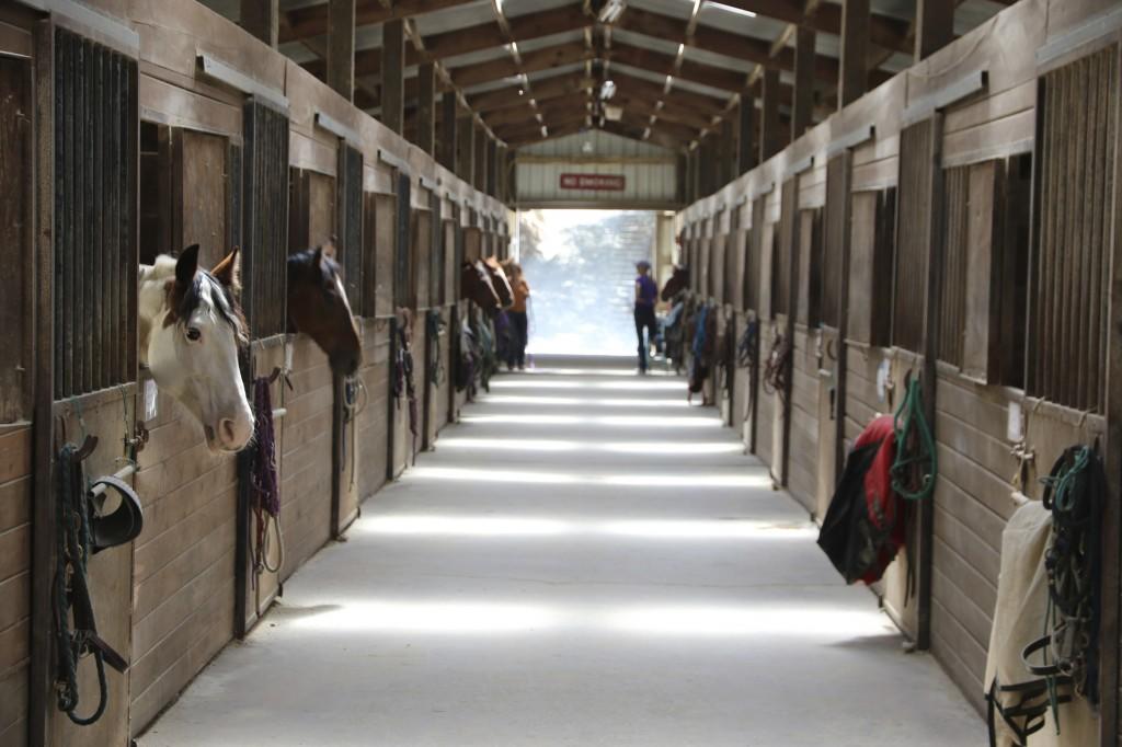 ColicCrusade's tweet photo. Read about the various factors that can heighten your horse's risk for colic. #EquineColicAwarenessMonth https://t.co/WHoiqZGo1k https://t.co/o3X3iaQI94