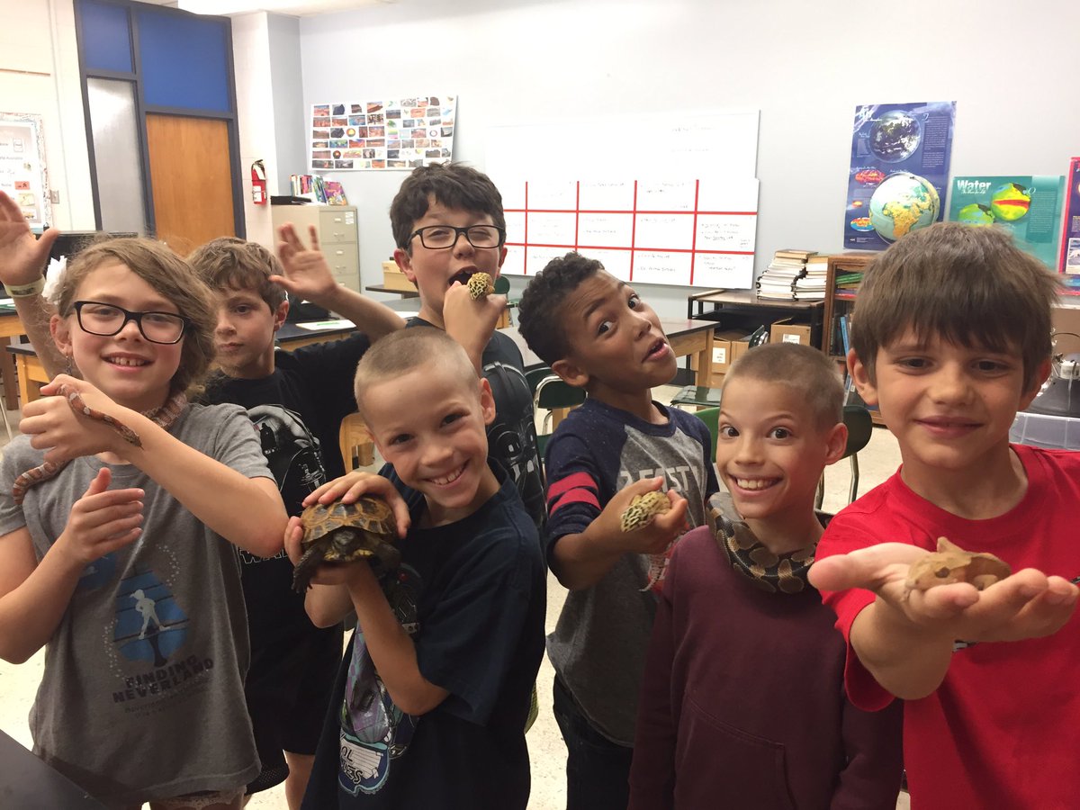 msmatson43085's tweet photo. We are loving learning about our reptile friends #ItsWorthIt #reptiles #WSEA https://t.co/UGYxTPSny8