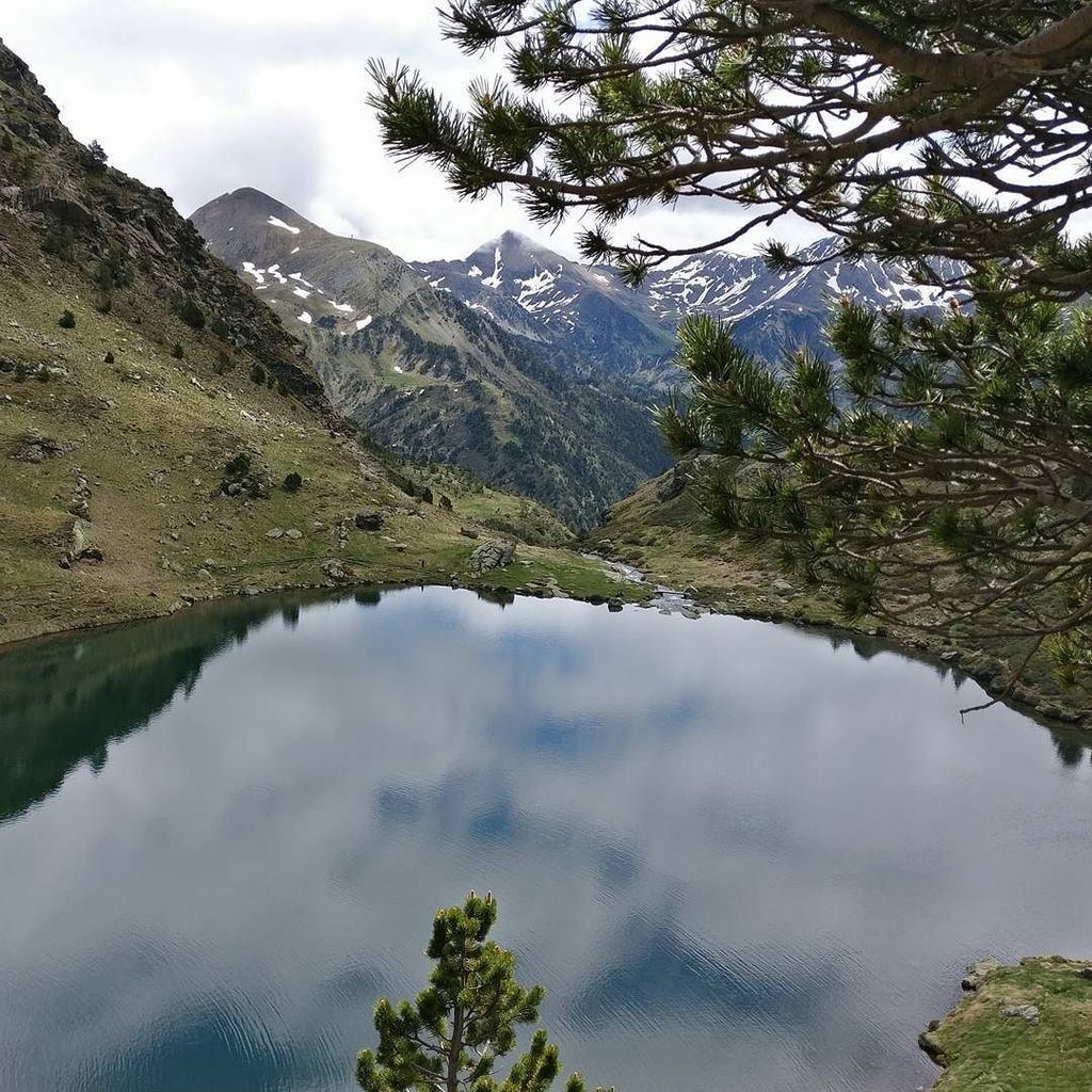 Alex Orden Lanchas tweet media