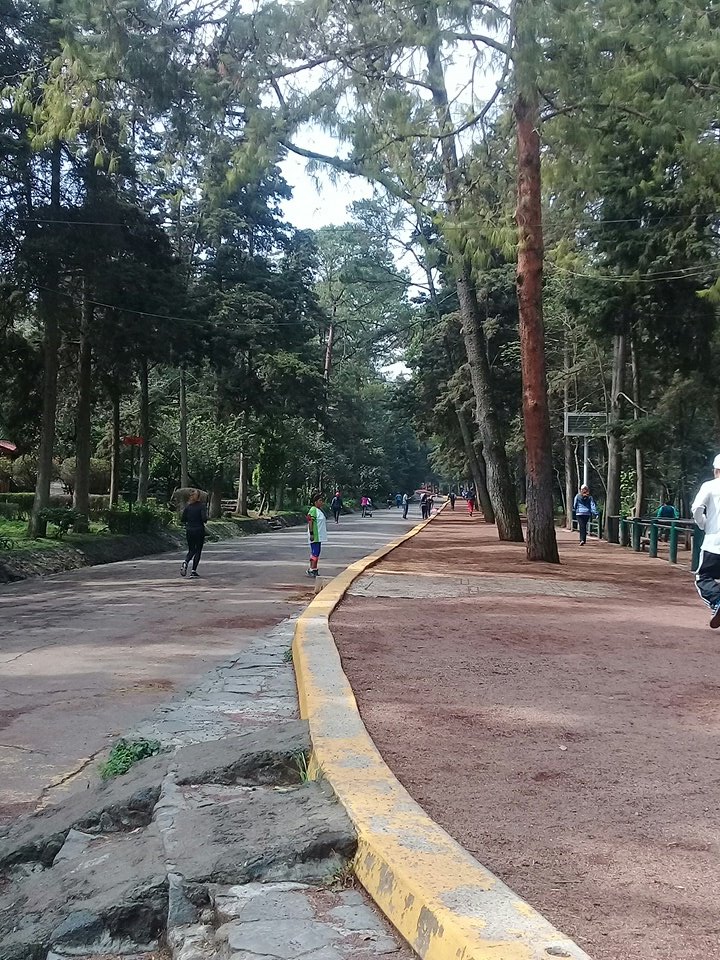 gigerick's tweet photo. ¡a darrrle átomos! O/

#RunnerDay https://t.co/3RCUjYMPK3