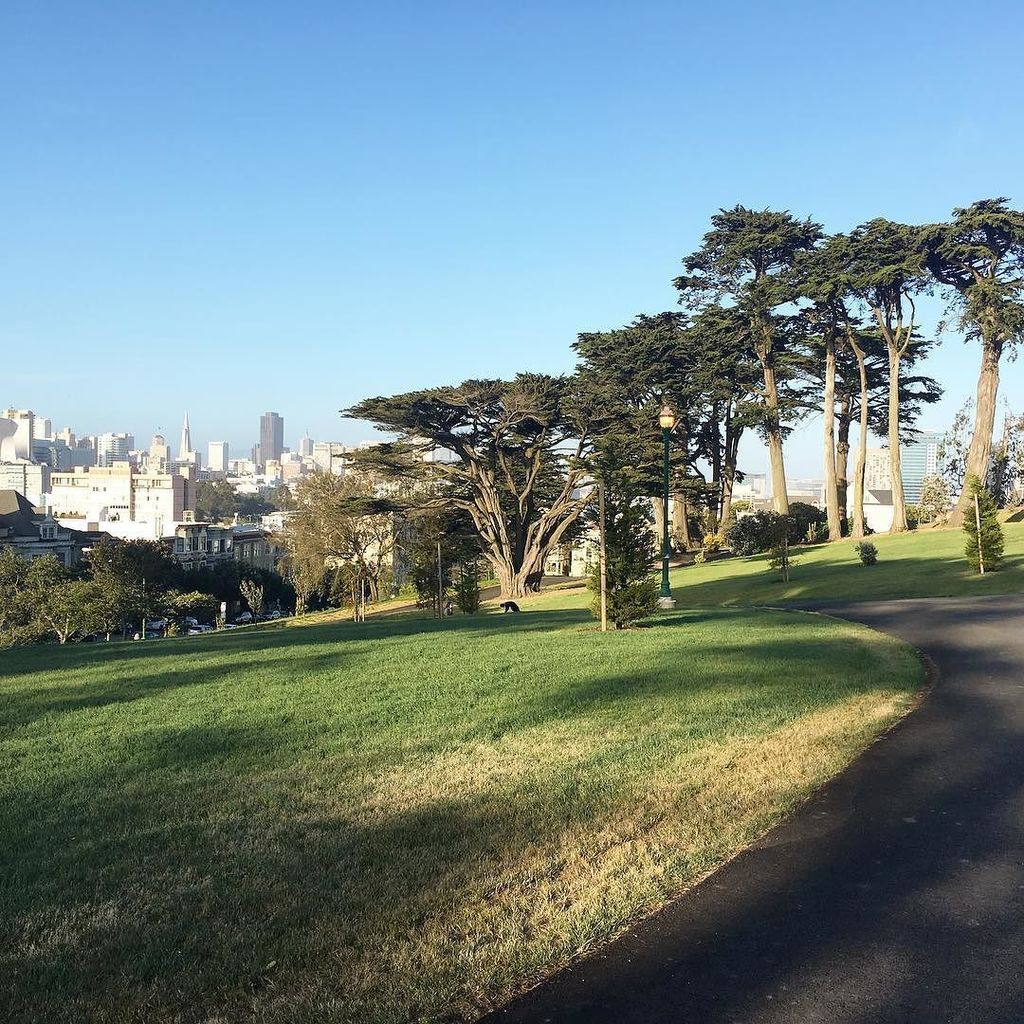 sftrailrunning's tweet photo. Alamo Square Park is open!!!!!!! The chain link fence is gone 😜Went for a run through the park, wonder how many tourist pictures of the Ful… https://t.co/u3FsMHJRRU