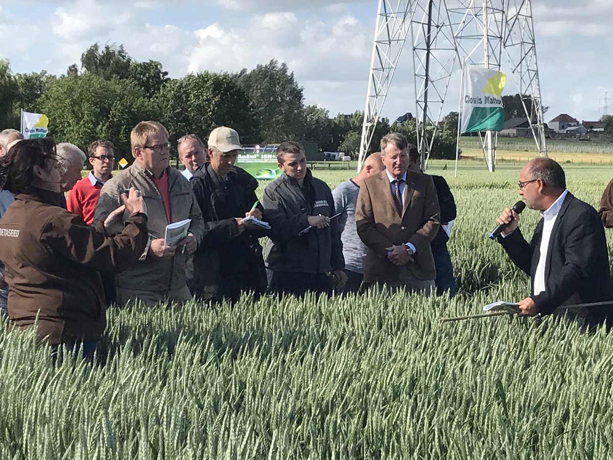 BernardLGSeeds's tweet photo. #socialmedia is now genetically incrusted in the @LimagrainBE team. Here you see @NeleLimaBe filming @IgnaceLimaBE at work in our demofield. https://t.co/RfujDjjhNH