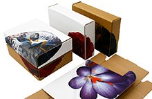 Packaging2Buy's tweet photo. Ever thought about customising your packaging from Cardboard boxes to Tape &amp; Labels? https://t.co/pBgVdgRzpm https://t.co/vXnkxMAInn