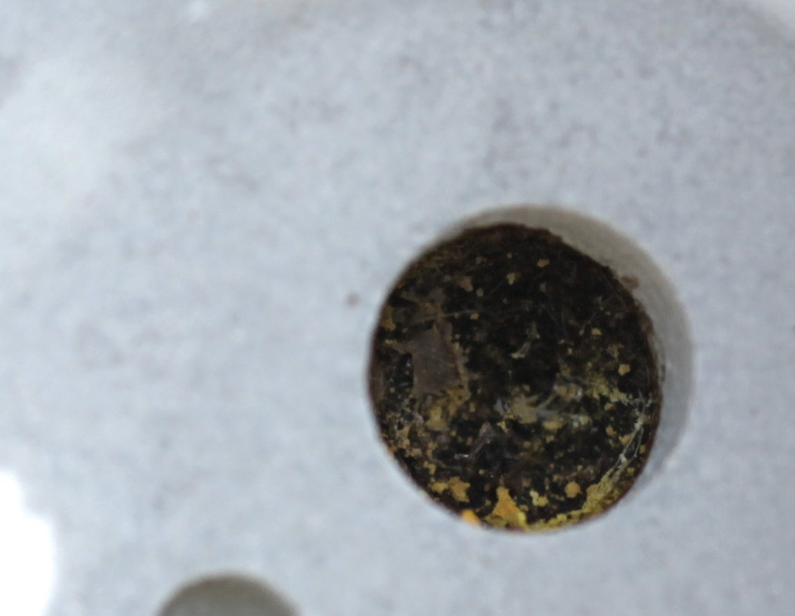 B_Strawbridge's tweet photo. 'U' is for.... unidentified solitary bee nest plugged with resin #AlphabetBees Day 21 https://t.co/zF5UGNFSt1
